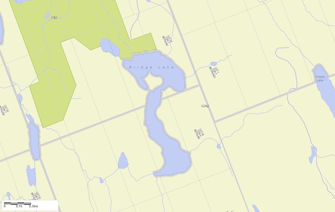 Crown Land Map of Bridge Lake in Municipality of Kearney and the District of Parry Sounds